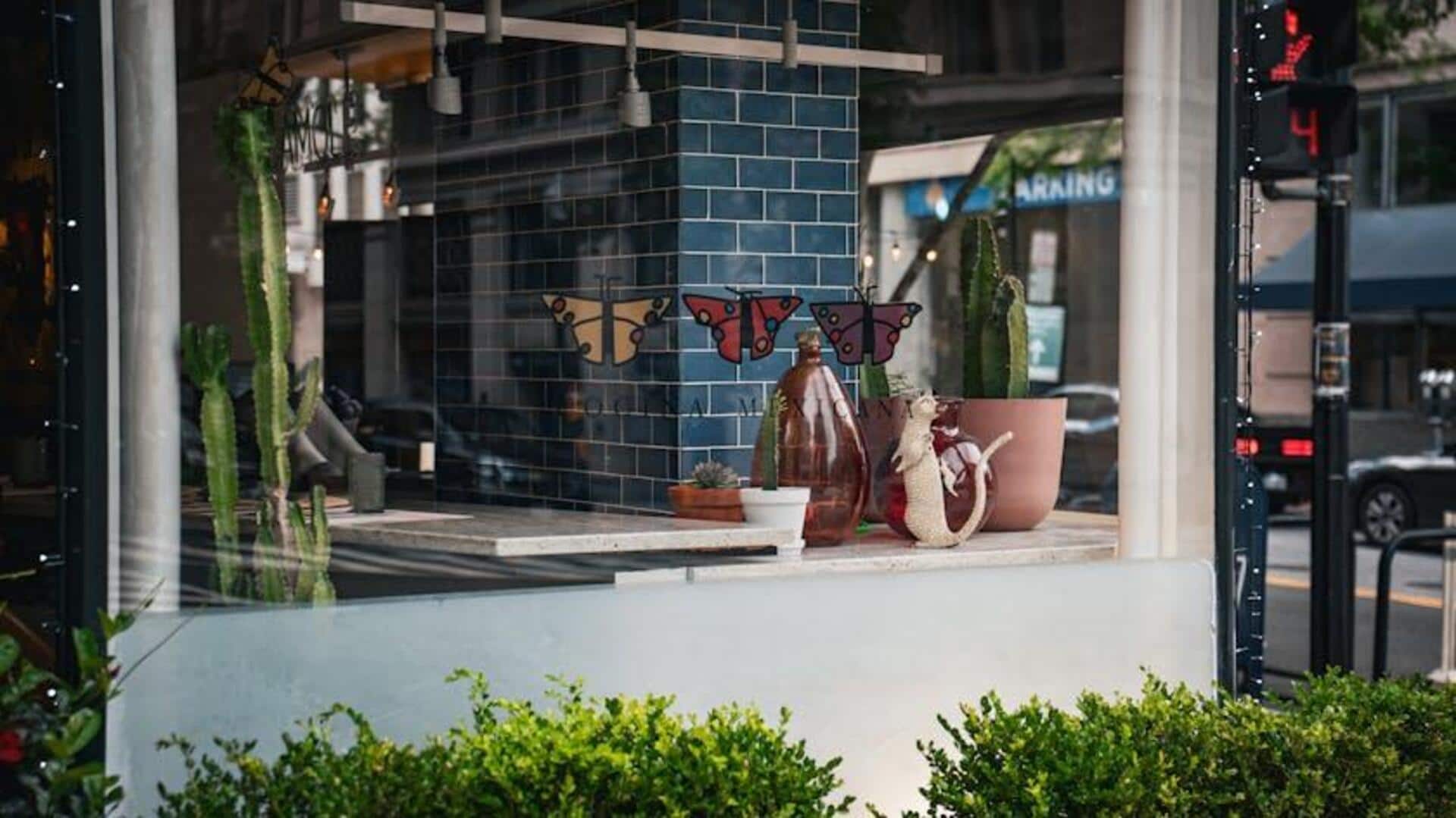 Create an eco-friendly window decor, we tell you how