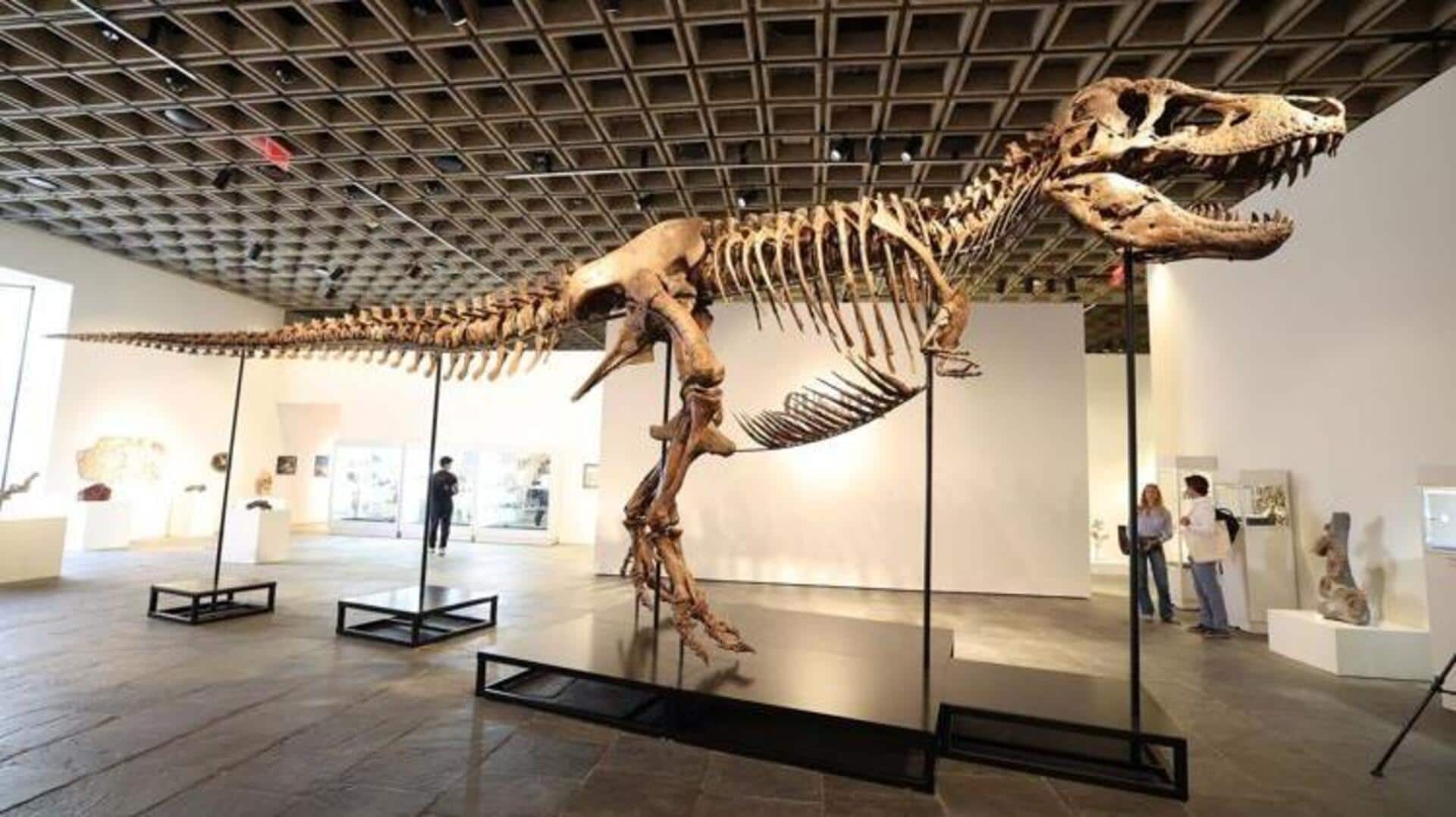 Rare T. rex fossil goes under the hammer for $50M