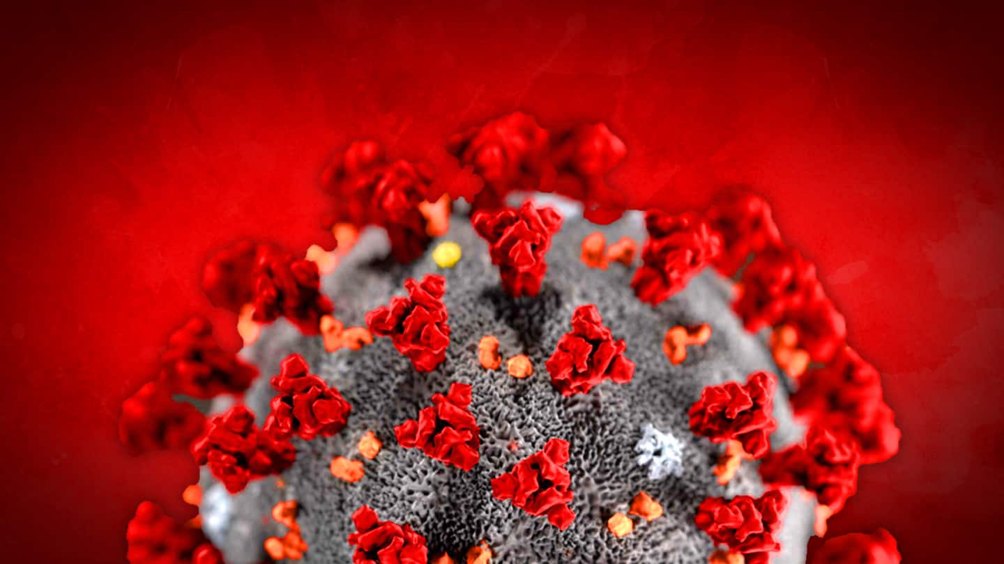 Are Delta and Delta-Plus variants more infectious? Are Delta and Delta-Plus variants more infectious?
