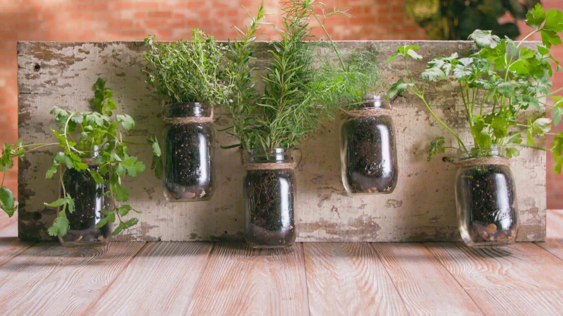 How to build a window herb garden using mason jars How to build a window herb garden using mason jars