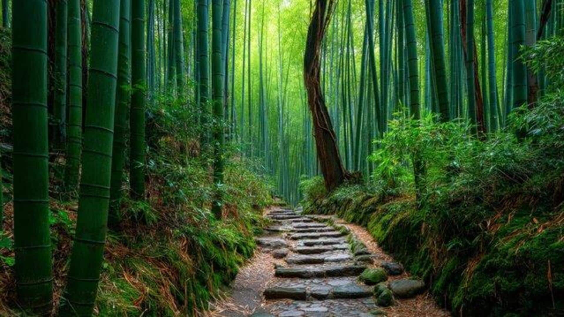 De-stress with these 5 relaxing nature walks De-stress with these 5 relaxing nature walks