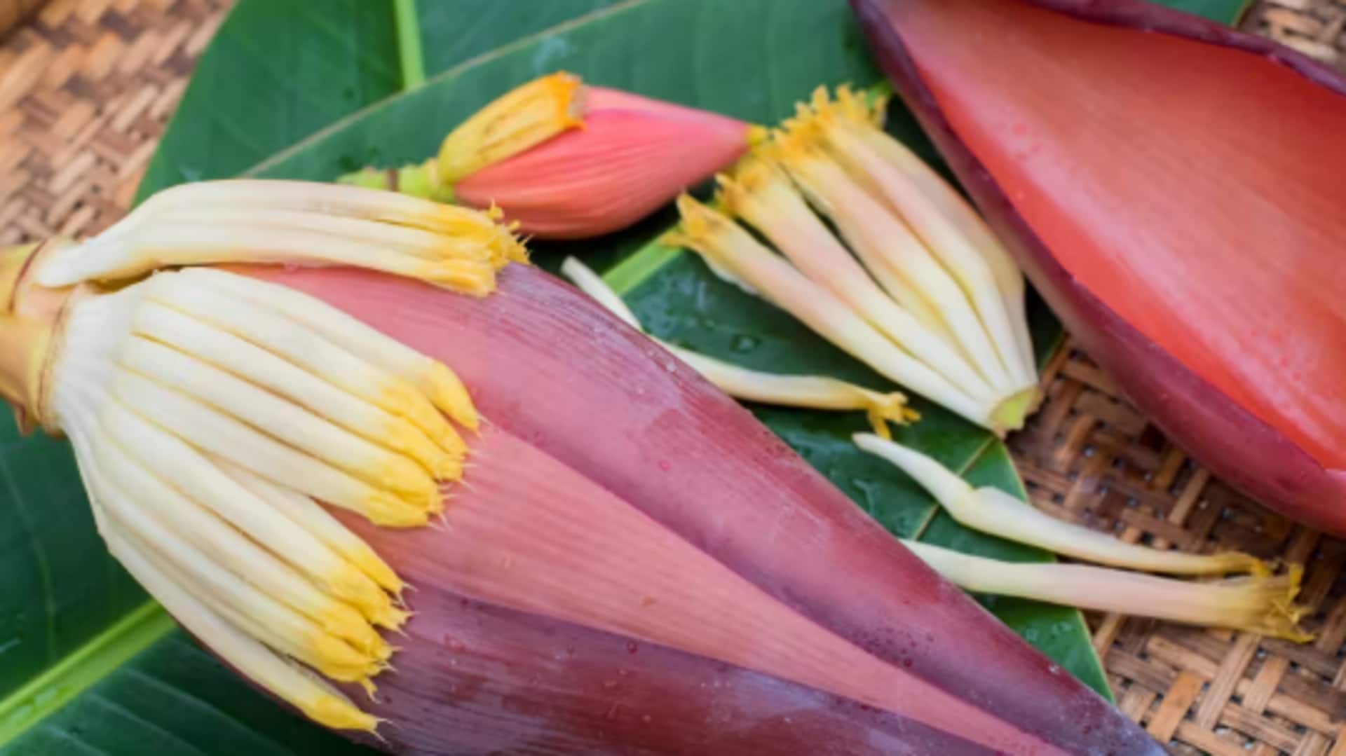 Unique banana flower recipes to try today Unique banana flower recipes to try today