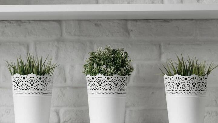 Top 5 pot planters to lift your home decor