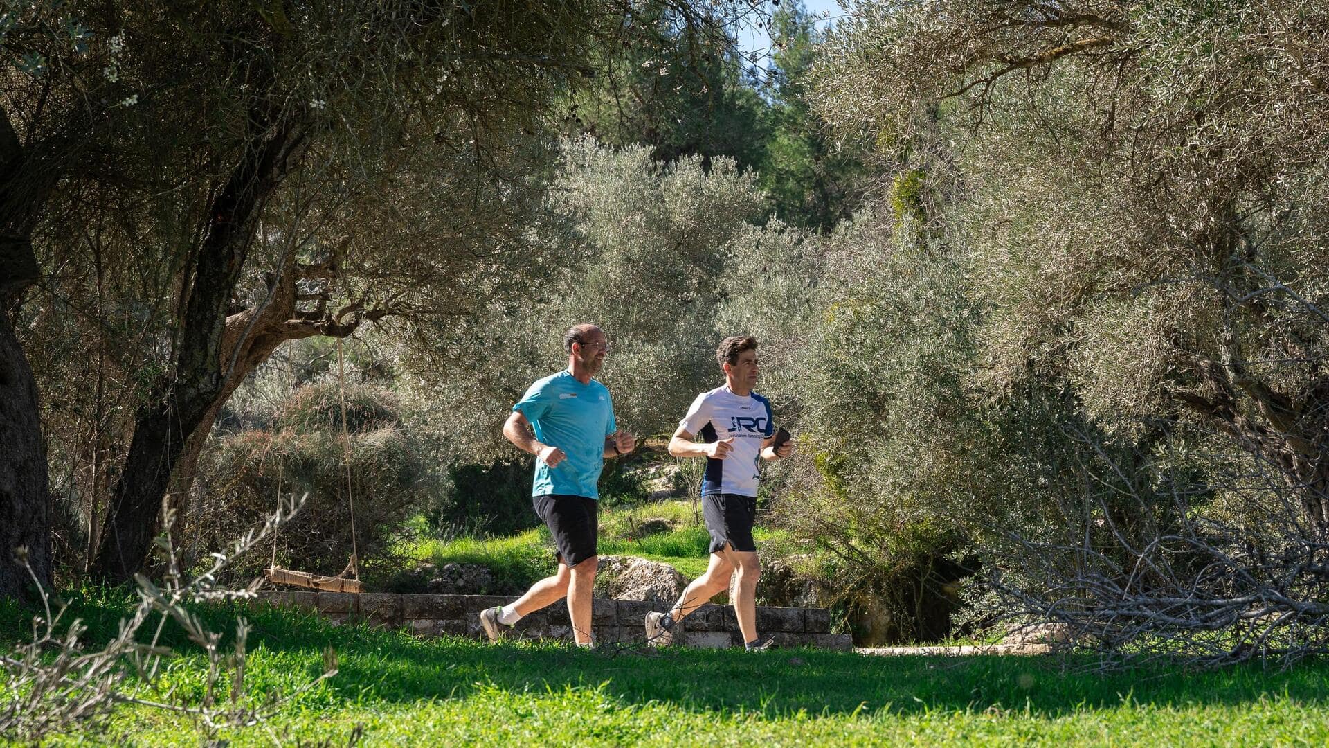 Make your regular run more challenging with trail running
