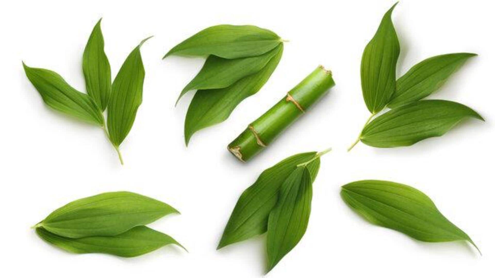 5 amazing health benefits of bamboo leaves 