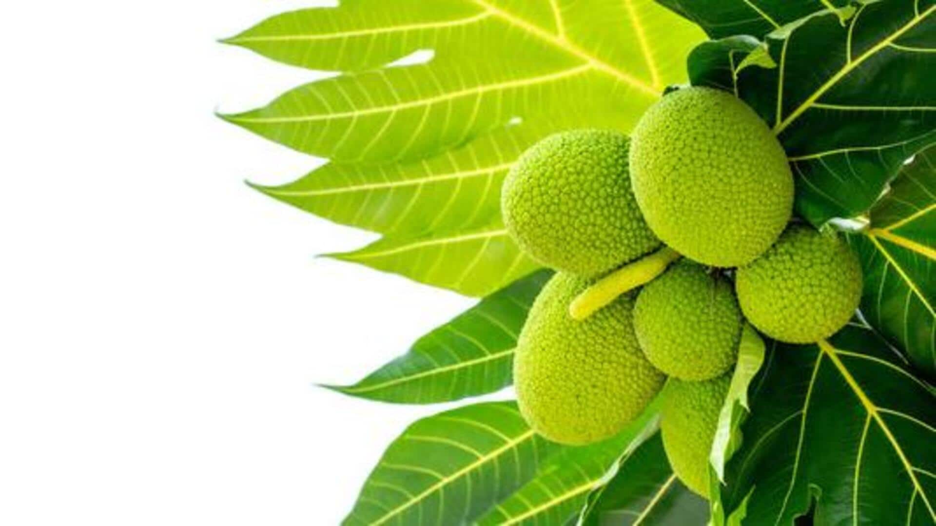 You'll love these breadfruit recipes!
