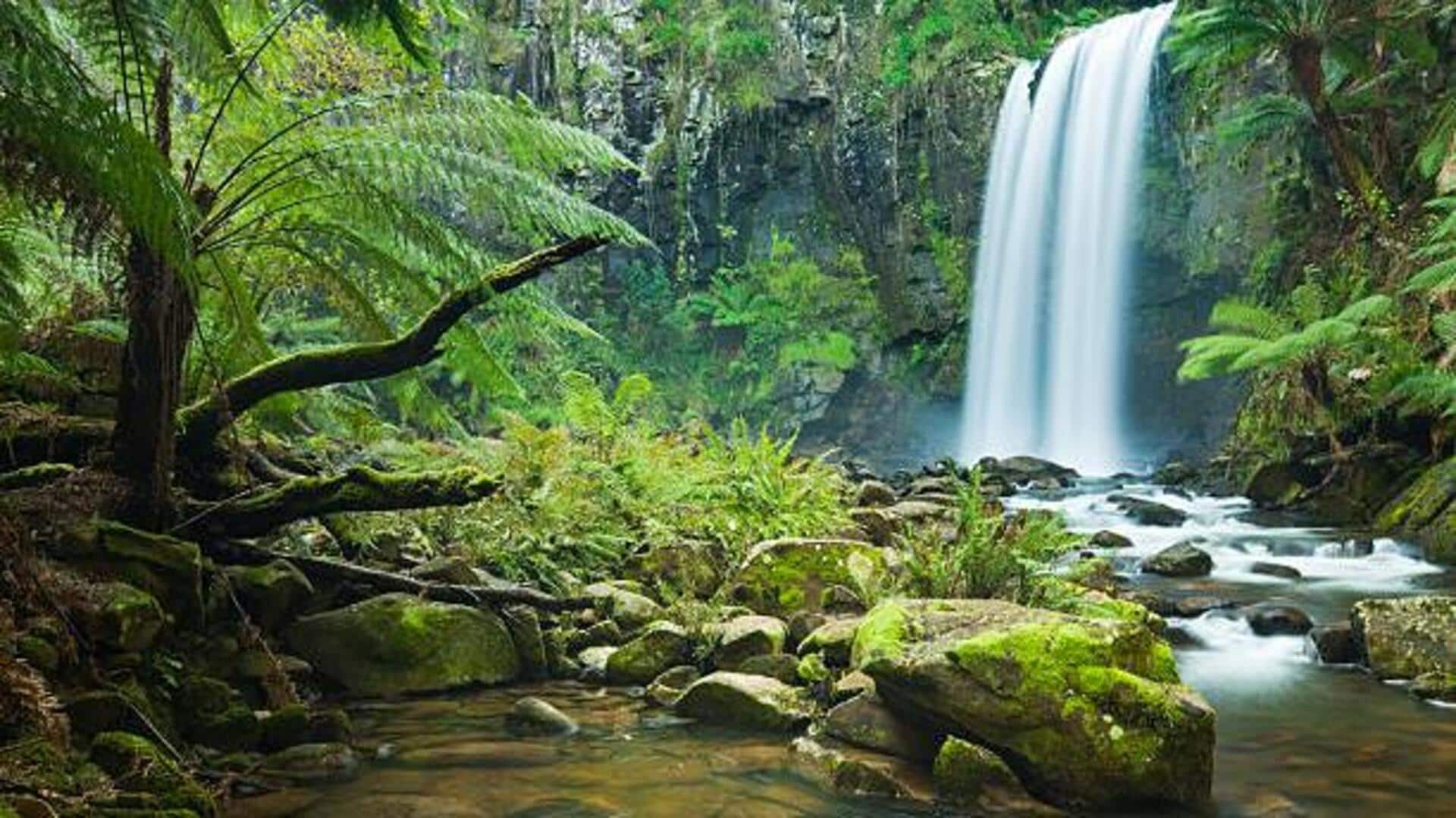 Costa Rica's jungle waterfalls: A list Costa Rica's jungle waterfalls: A list