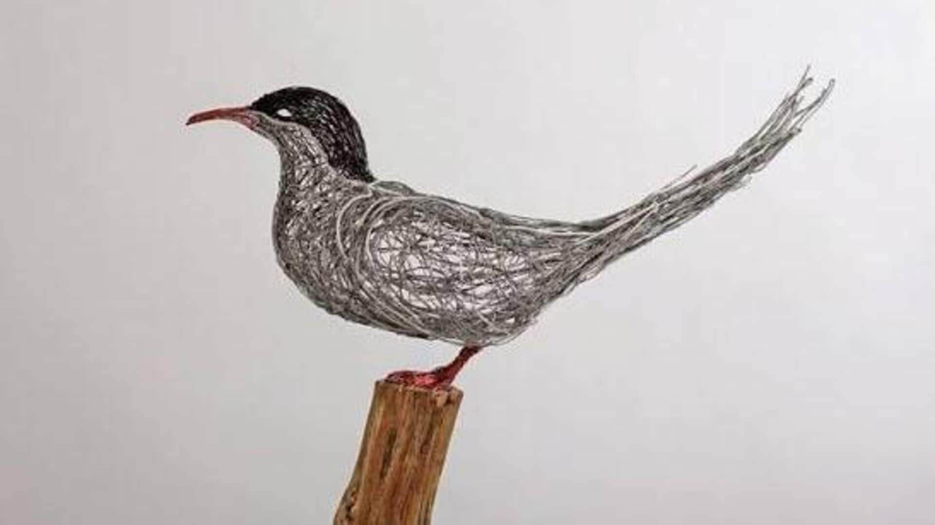 How to make stunning wire art birds 