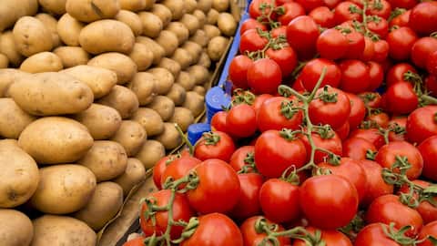 Potatoes have tomato roots, and scientists are baffled 