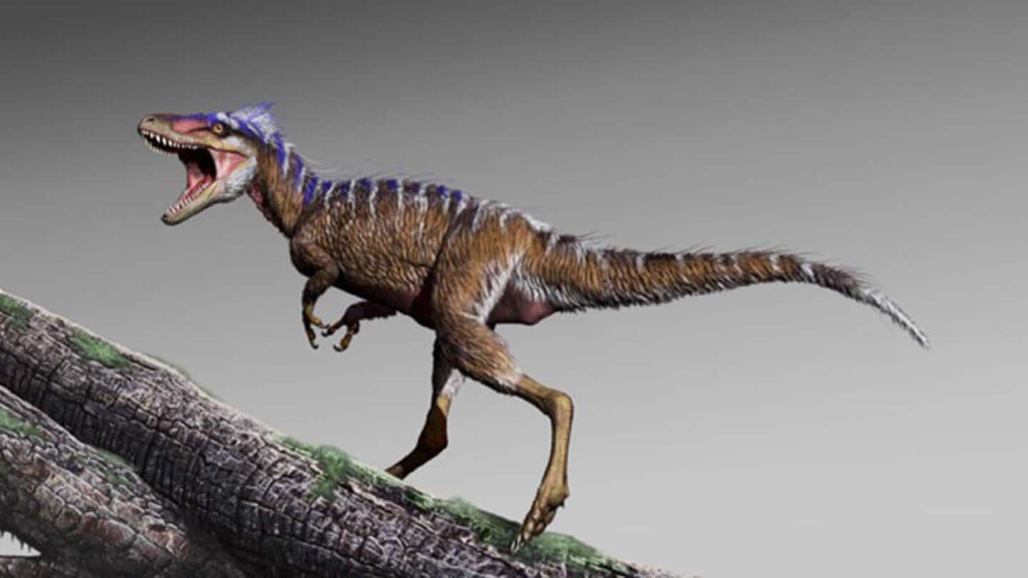 T. rex ancestors migrated from Asia 70 million years ago