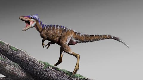 T. rex ancestors migrated from Asia 70 million years ago 