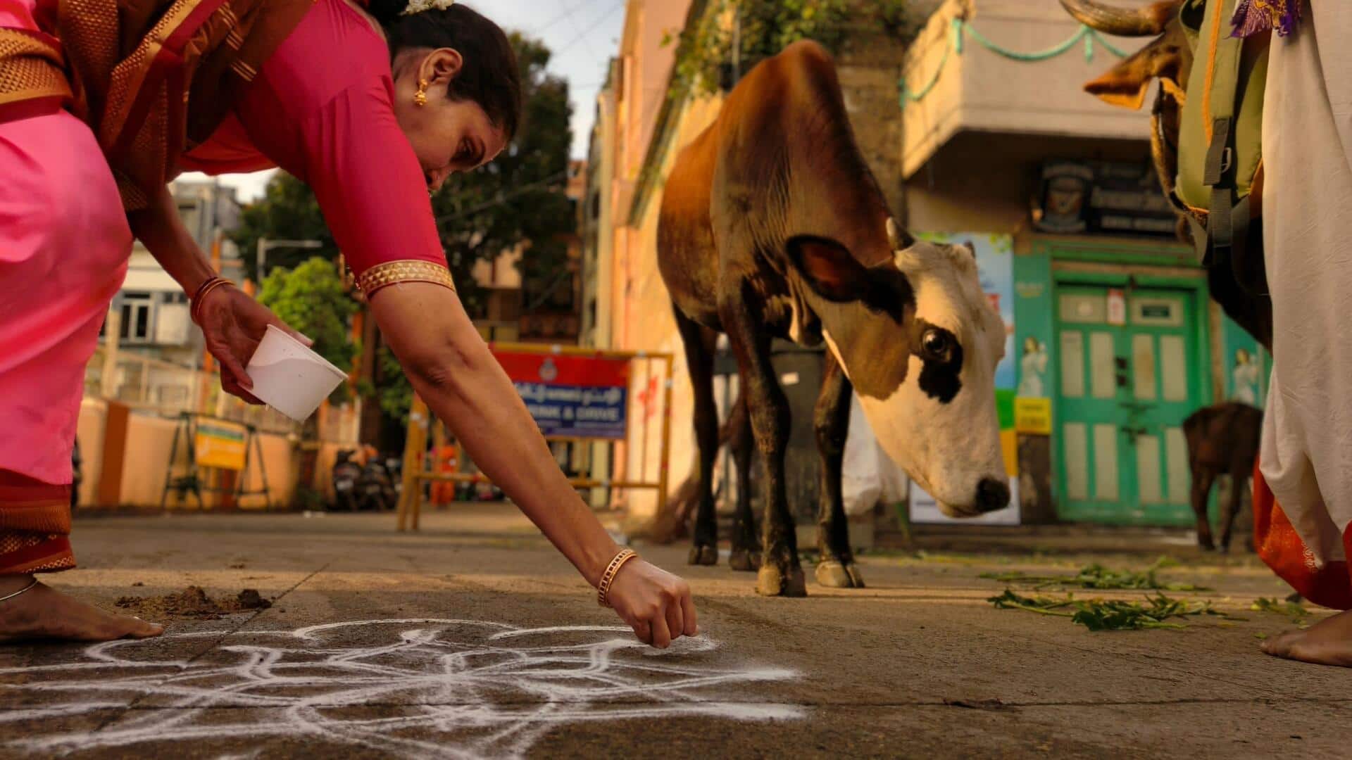 Geometric kolam designs that are simply beautiful