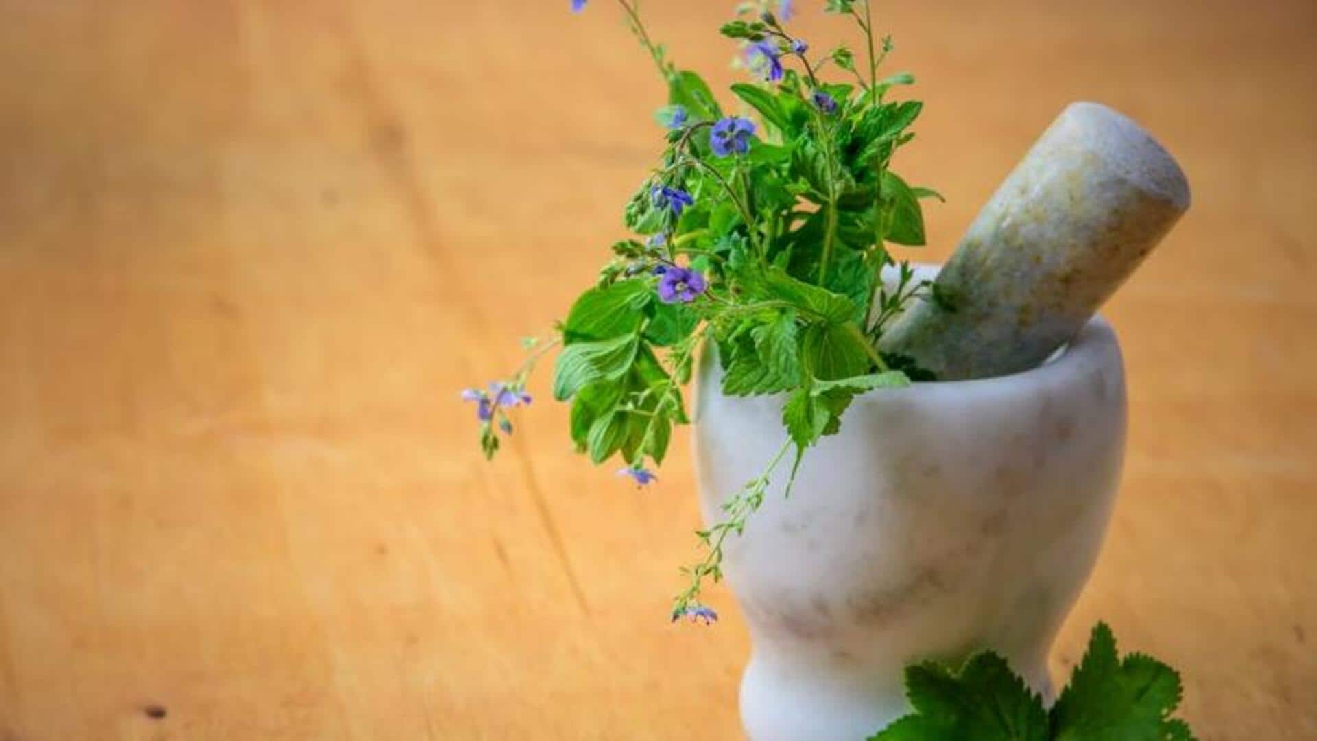 5 amazing benefits of having a kitchen herb garden