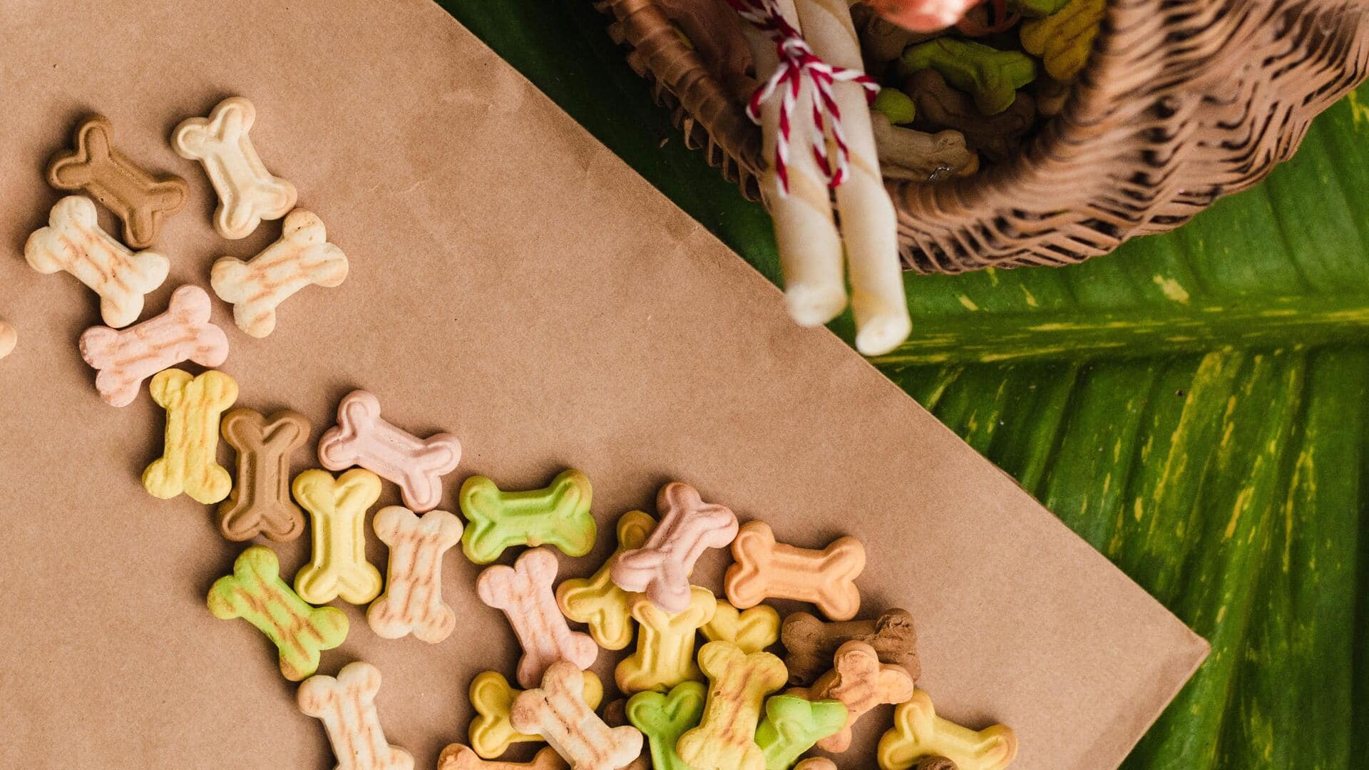 Want to keep your dog busy? Hide their treats