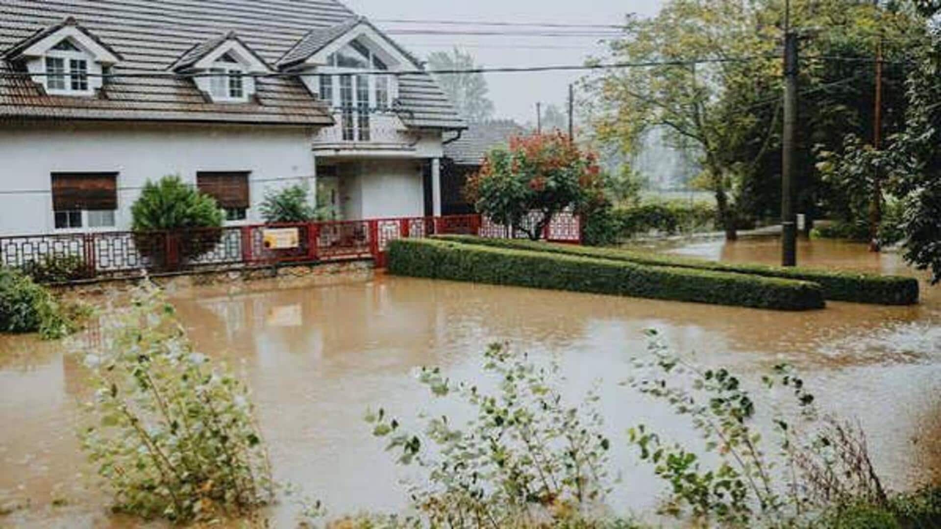 How to deal with excess rainwater in your garden 