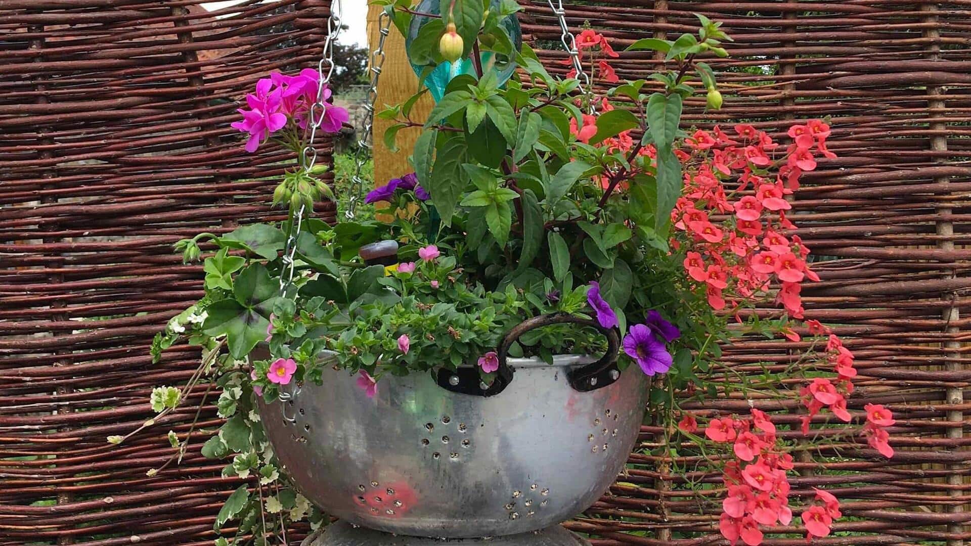 Don't discard old kitchen accessories; do this instead