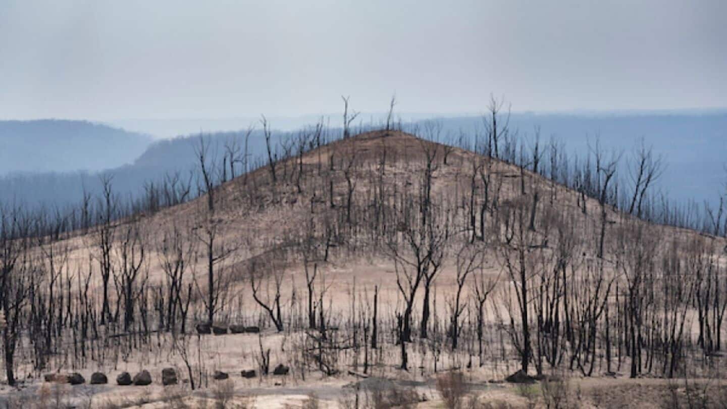 Rising seas will threaten millions of Australians by 2050: Report