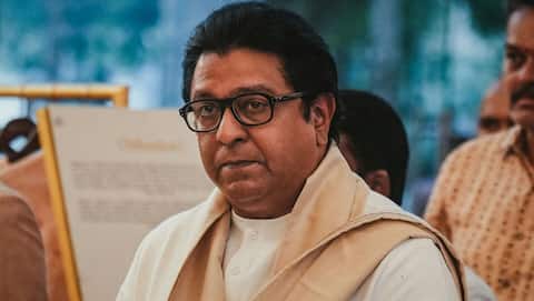 Raj Thackeray slams CM Fadnavis over BJP leader's video