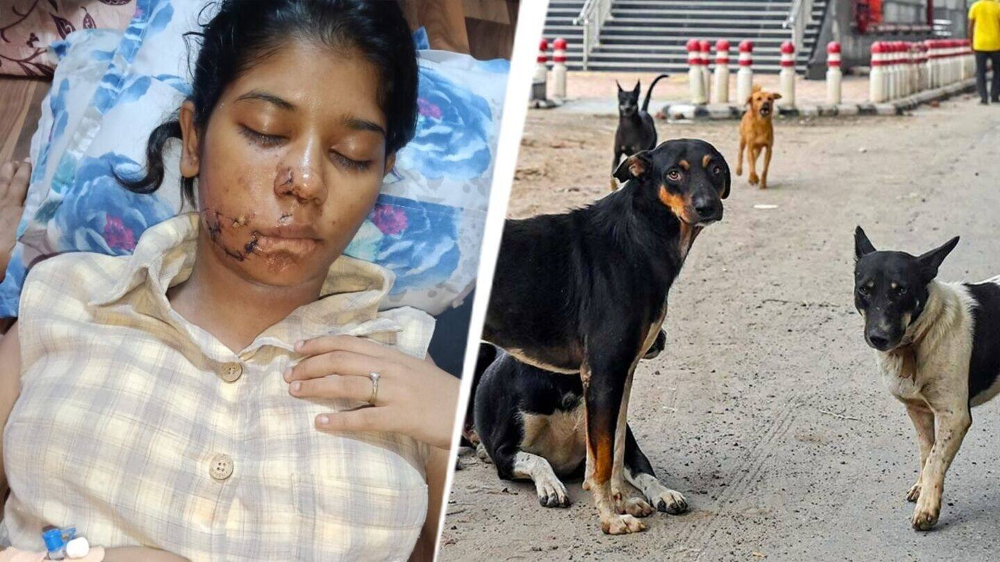 17 stitches on face: Stray dogs maul Kanpur college student 17 stitches on face: Stray dogs maul Kanpur college student