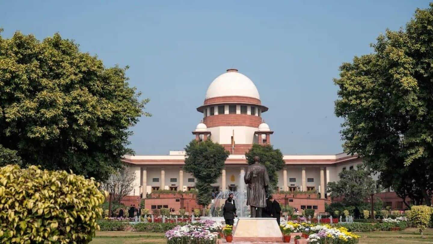 'Rabies killing infants...aged': SC takes cognizance of stray dog menace 'Rabies killing infants...aged': SC takes cognizance of stray dog menace