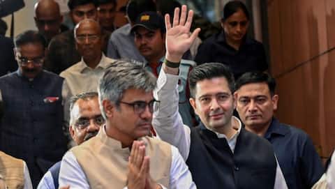 Can 7 AAP Rajya Sabha MPs be disqualified for defection