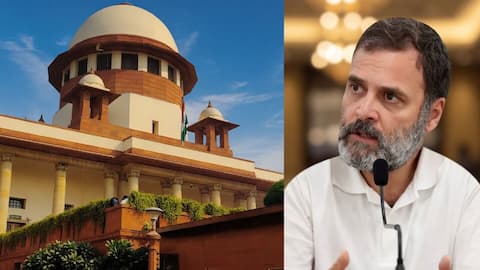 SC stays Allahabad HC order in Rahul Gandhi's assets case