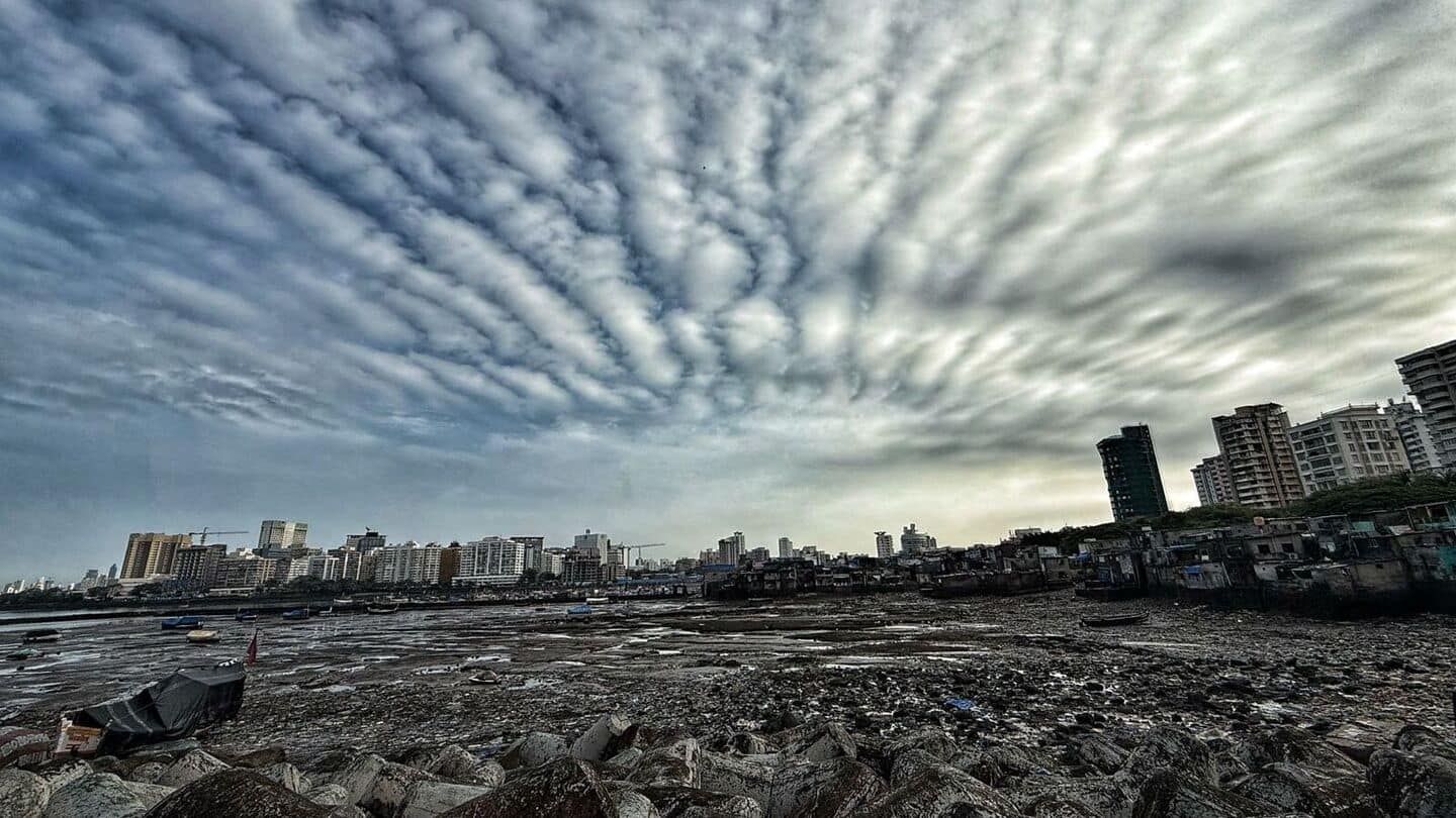 Mumbai to face thunderstorms, light showers: IMD issues yellow alert Mumbai to face thunderstorms, light showers: IMD issues yellow alert