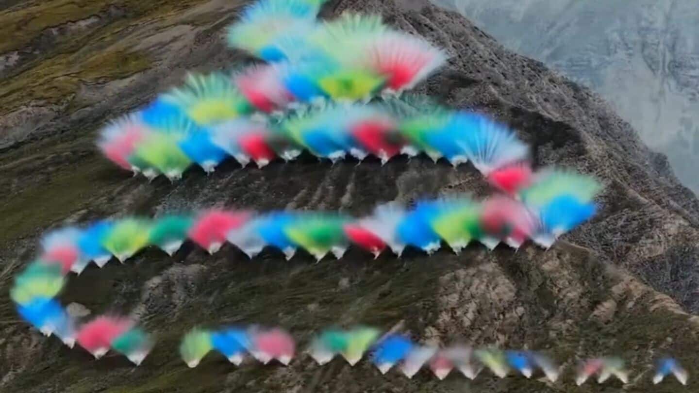 Fireworks in Himalayas spark outrage; artist issues apology
