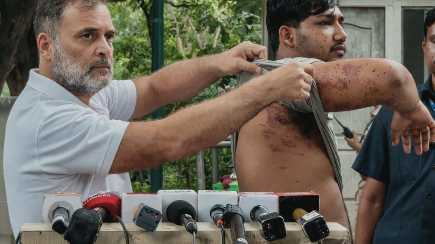Rahul Gandhi questions 'barbaric assault' in Jantar Mantar protest