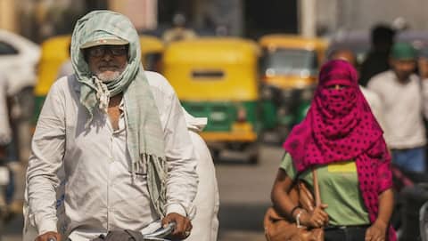 Telangana heatwave deaths: Government announces ₹4 lakh ex gratia
