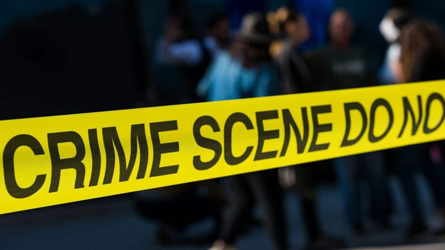 Dog found with severed human arm, police launch investigation Dog found with severed human arm, police launch investigation