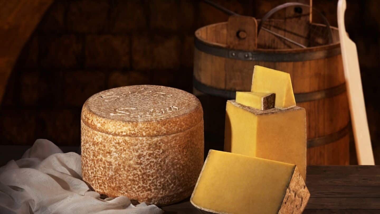 France's beloved Salers cheese production threatened due to climate change