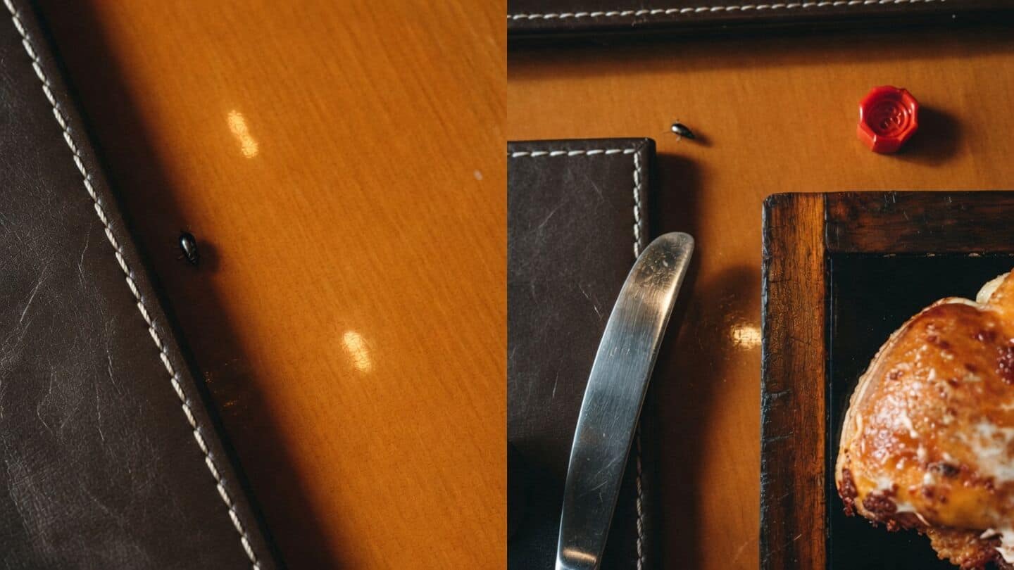 Cockroach joins cardiologist's dinner at JW Marriott; he shares video