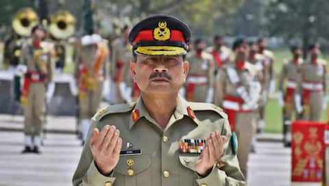 US lobbying records contradict Pakistan's ceasefire claim on 'Operation Sindoor'