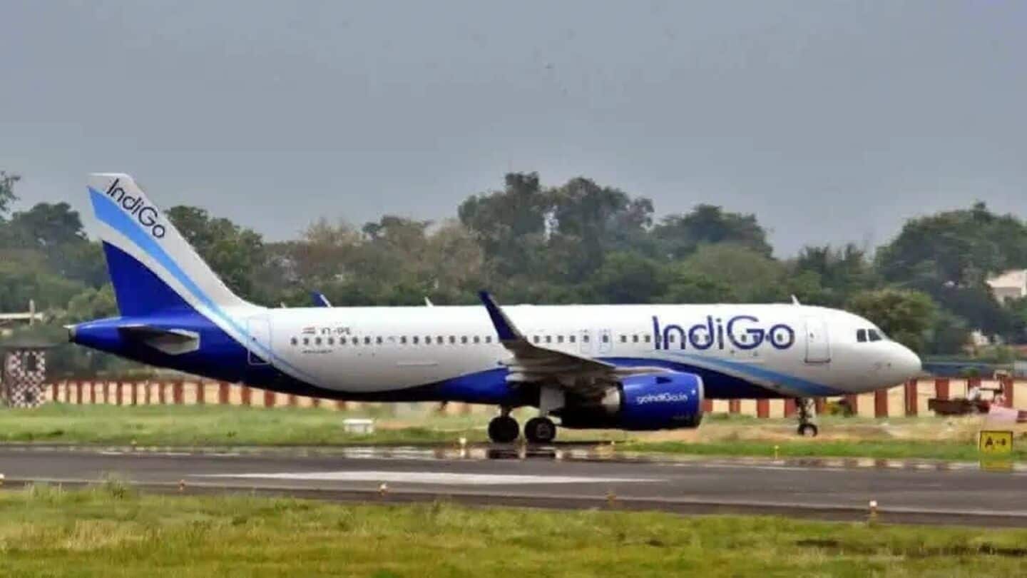 Lucknow-Delhi flight with Dimple Yadav grounded due to technical snag Lucknow-Delhi flight with Dimple Yadav grounded due to technical snag