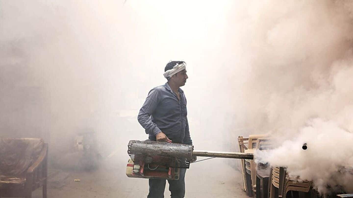Malaria, chikungunya cases on rise in Delhi this year: MCD