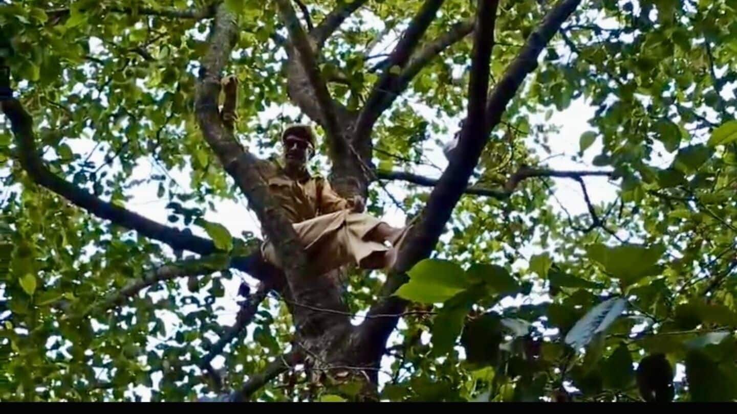 J&K cop climbs tree, threatens suicide over salary; MLA rescues J&K cop climbs tree, threatens suicide over salary; MLA rescues