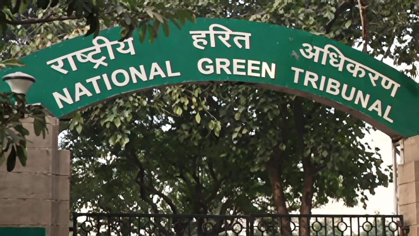 Environmental parties had 0% success rate in January-June NGT appeals