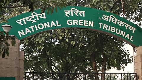Environmental parties had 0% success rate in January-June NGT appeals