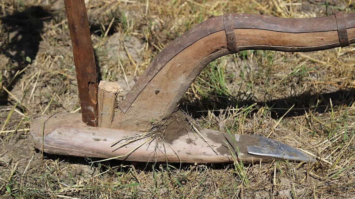 Another Odisha couple made to pull plough over same-clan marriage Another Odisha couple made to pull plough over same-clan marriage
