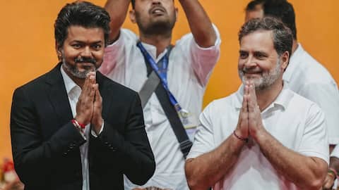 Vijay endorses Rahul for PM; Congress leader dismisses rift rumors