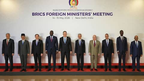 BRICS meet: Iran, UAE tensions over West Asia mar discussions