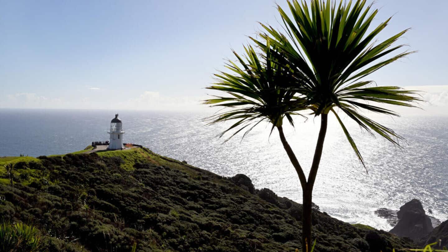 New Zealand oceans warming 34% faster than global average: Study