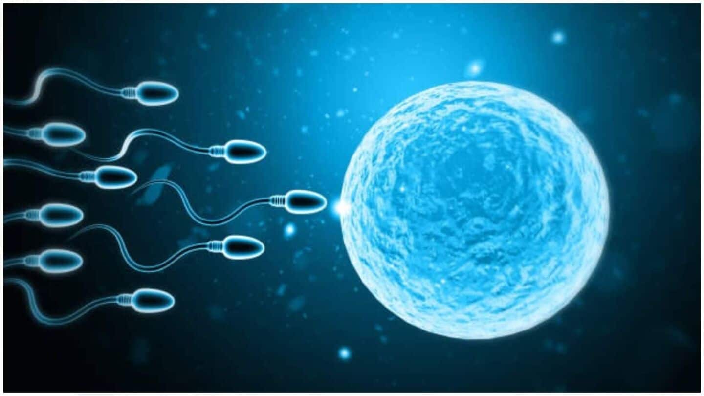 Sperm donor with genetic mutation fathers 67 children—10 get cancer Sperm donor with genetic mutation fathers 67 children—10 get cancer