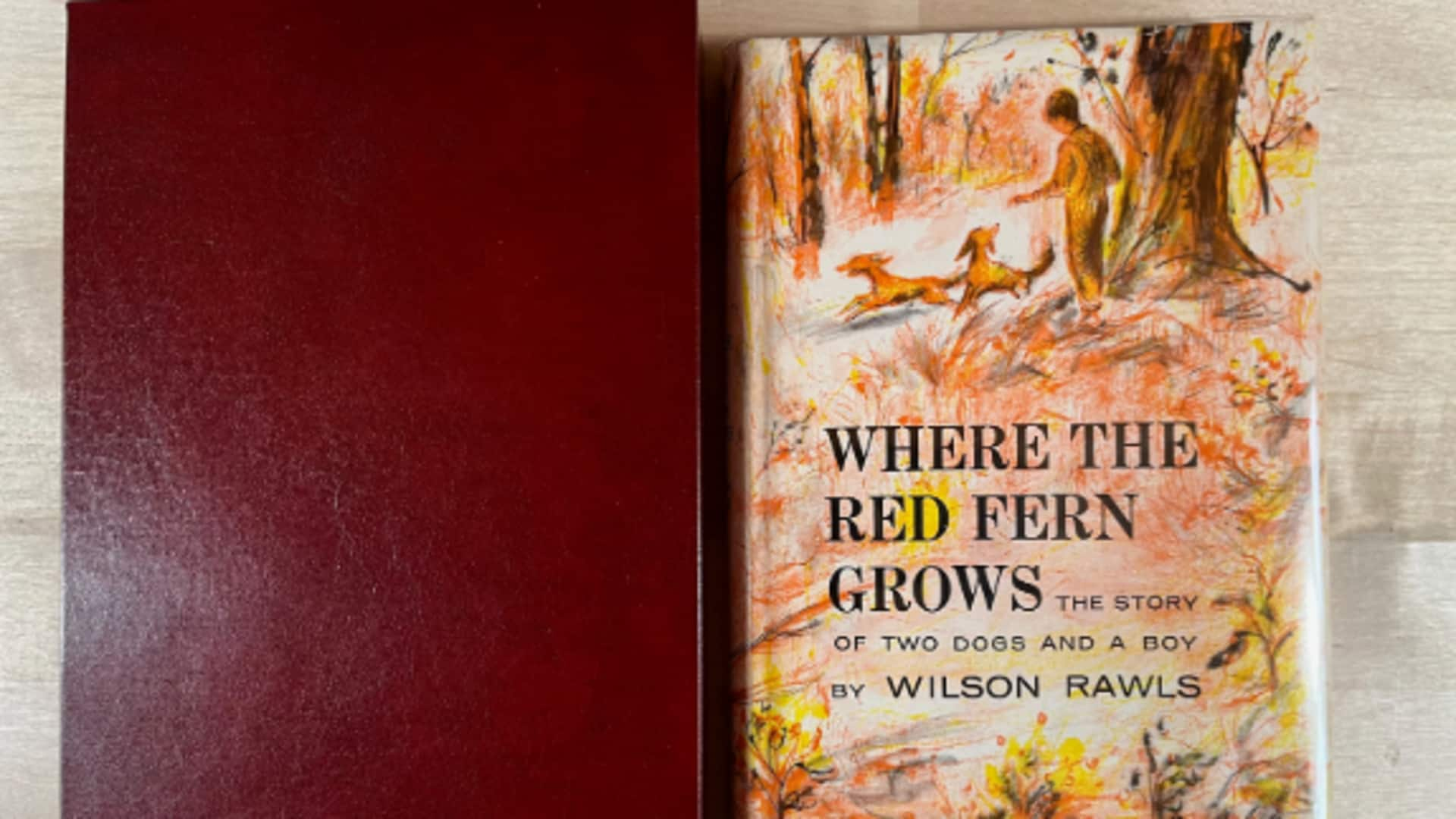 Important life lessons from 'Where the Red Fern Grows' book