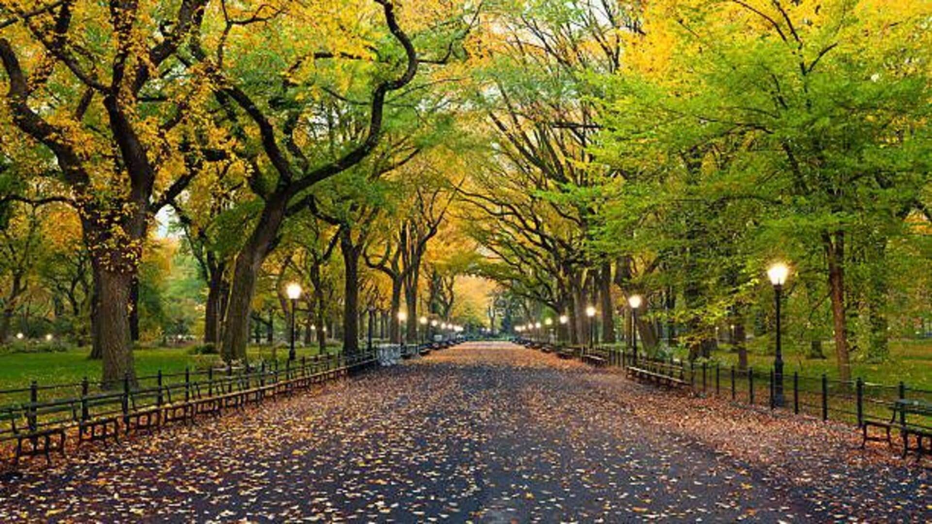 Urban hikes in mega cities: Top spots for nature walks Urban hikes in mega cities: Top spots for nature walks