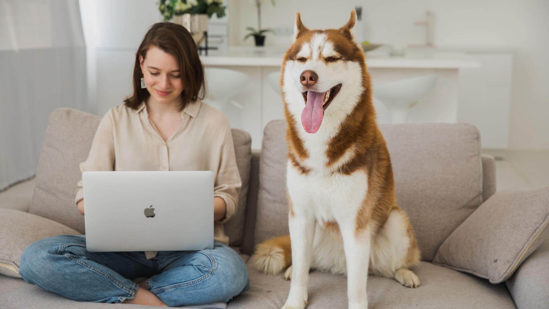 4 AI tools that turn pets into comedy stars