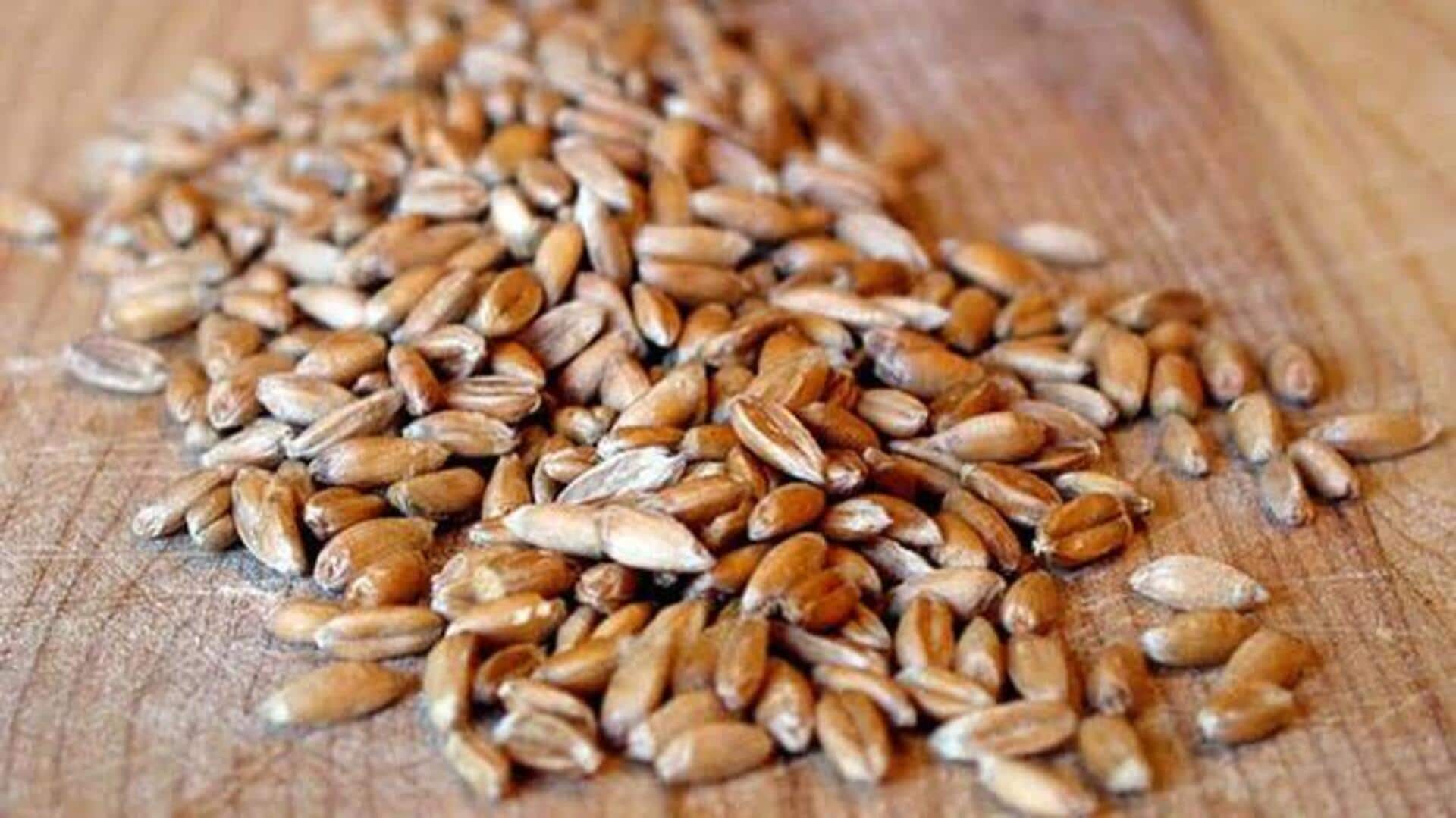 Spelt grain: A pantry staple worth trying 