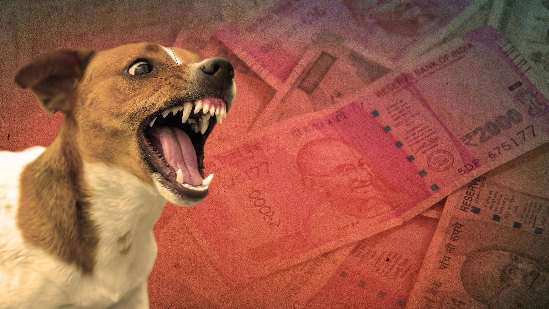 Pay dog-attack victim Rs. 2 lakh compensation, orders Gurugram forum