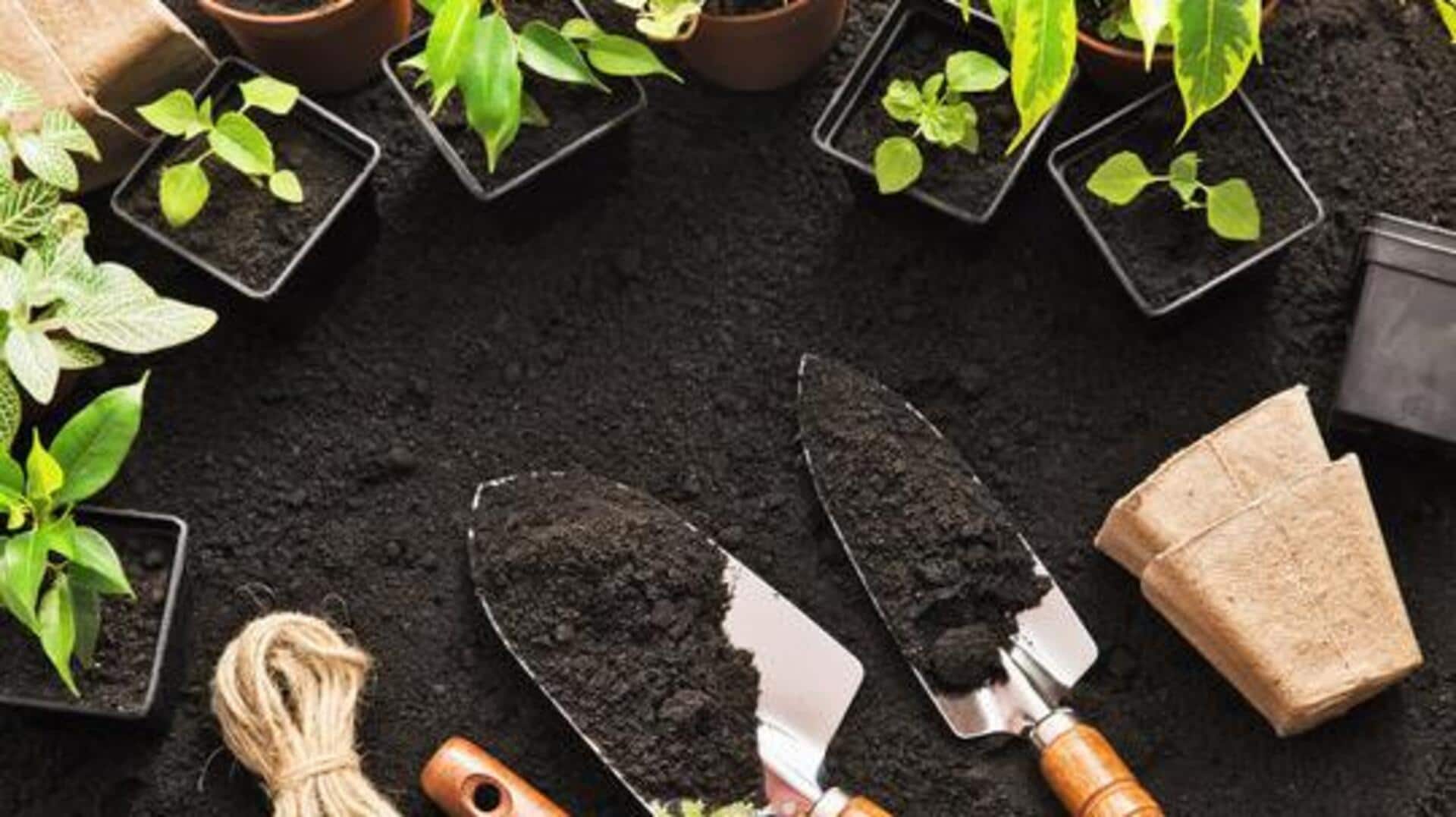 How to clean gardening tools effectively